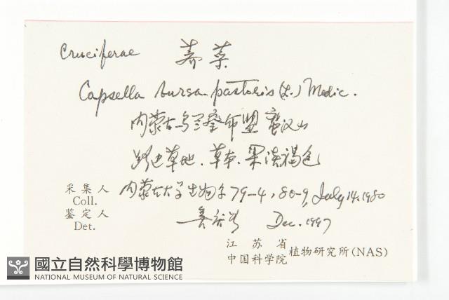 薺藏品圖，第2張