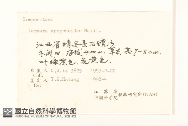 稻槎菜藏品圖，第3張