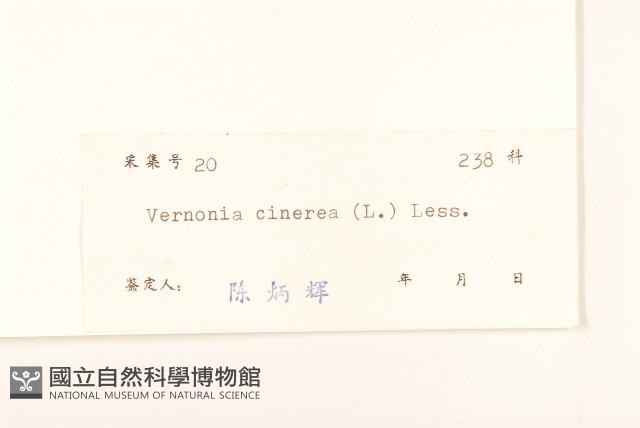 一枝香藏品圖，第3張