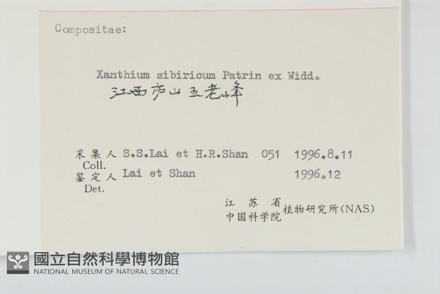 蒼耳藏品圖，第3張