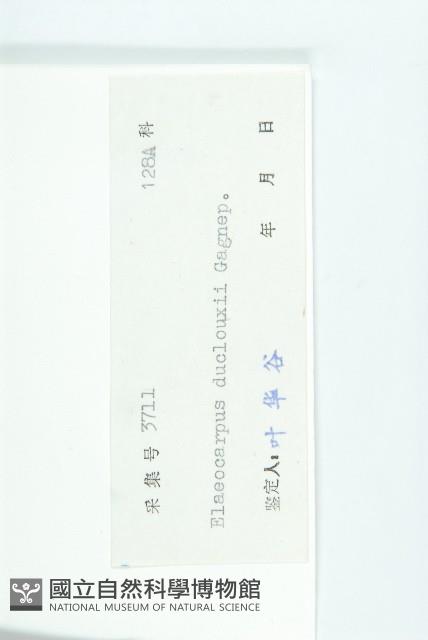 冬桃藏品圖，第3張