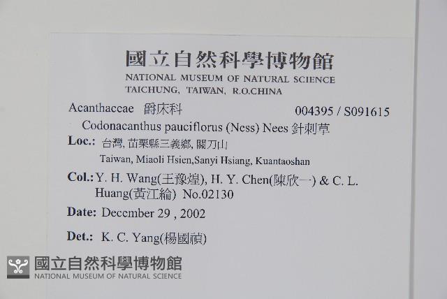 針刺草藏品圖，第2張