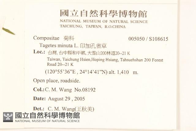 印加孔雀草藏品圖，第2張