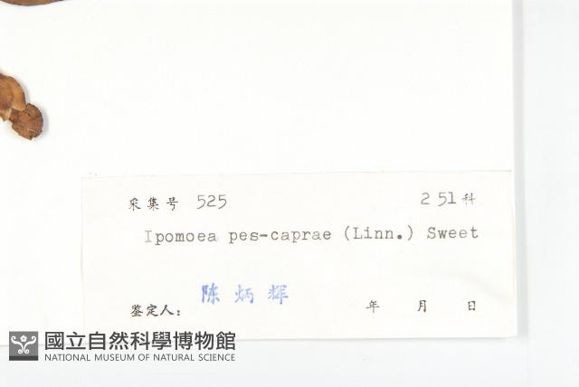 登錄號:S029715藏品圖，第3張