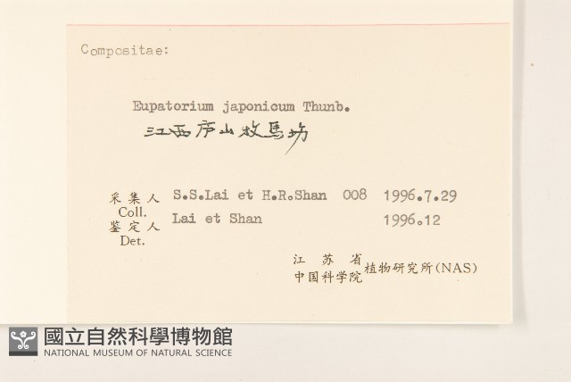 佩蘭、澤蘭藏品圖，第3張