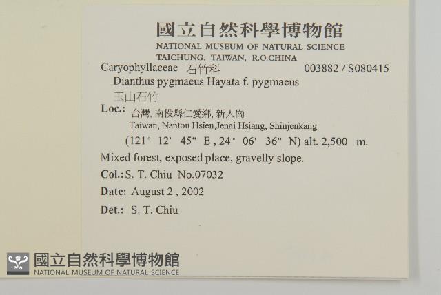 玉山石竹藏品圖，第2張