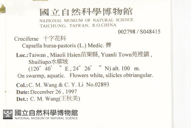 薺藏品圖，第2張