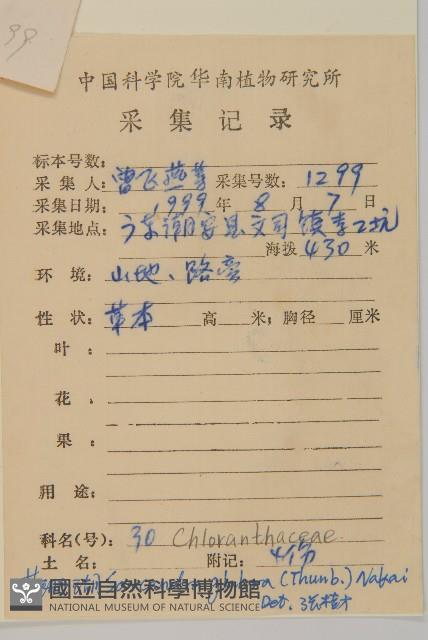 草珊瑚、紅果金粟蘭藏品圖，第2張