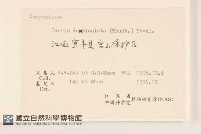 苦實菜藏品圖，第3張