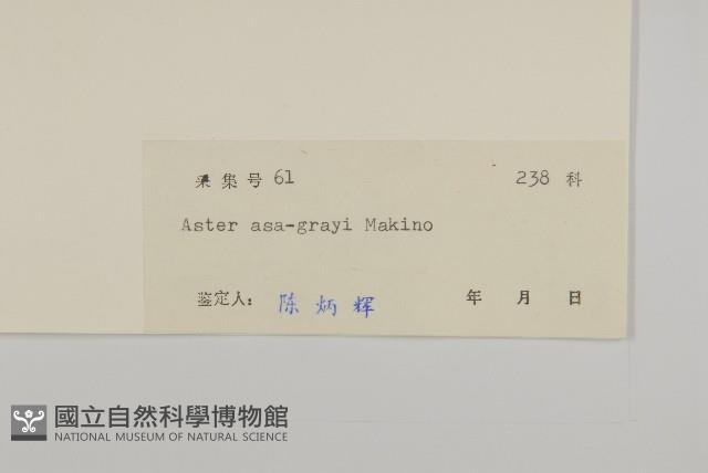 華南鐵桿蒿藏品圖，第3張