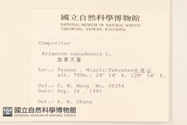 加拿大蓬藏品圖，第2張