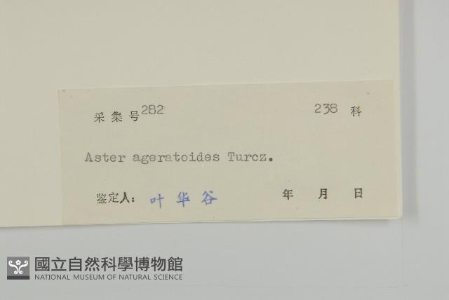 山白蘭藏品圖，第3張