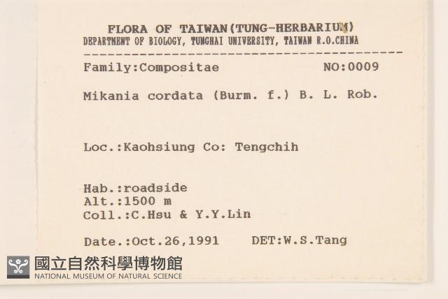 蔓澤蘭藏品圖，第2張