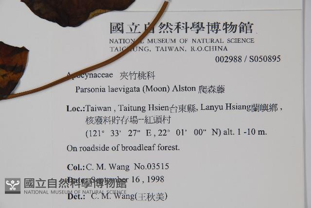 爬森藤藏品圖，第2張