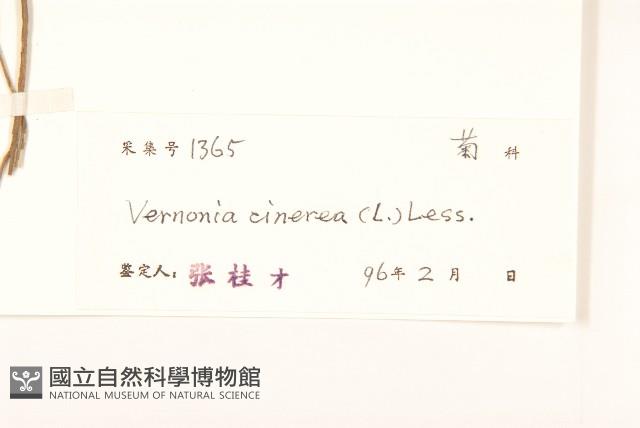 一枝香藏品圖，第3張