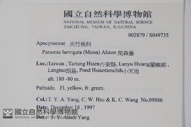 爬森藤藏品圖，第2張