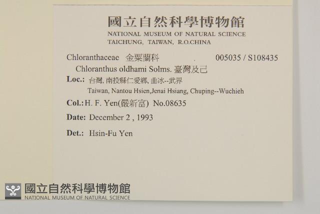 臺灣及己藏品圖，第2張