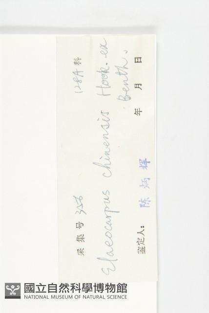 華杜英藏品圖，第3張