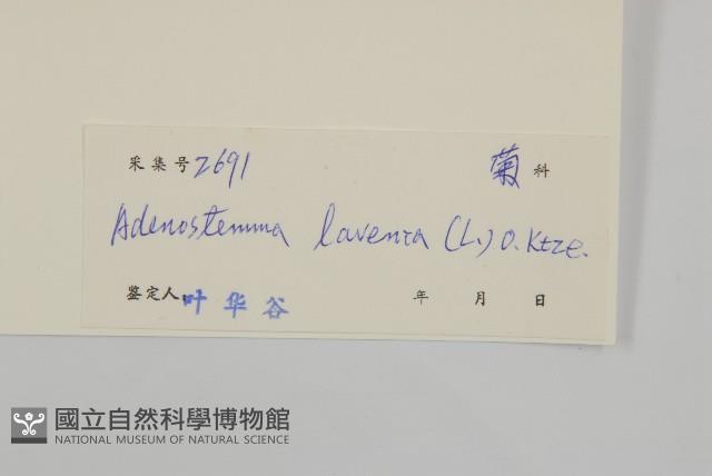 下田菊藏品圖，第3張