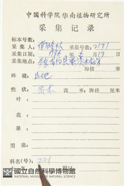 山紅柿藏品圖，第2張