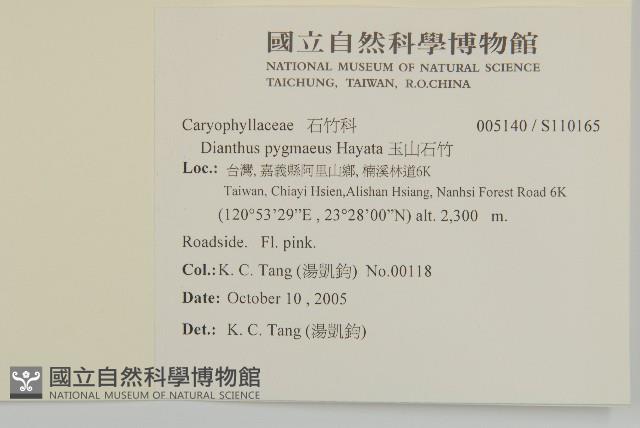 玉山石竹藏品圖，第2張