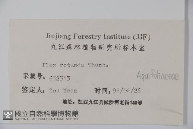 鐵冬青藏品圖，第2張