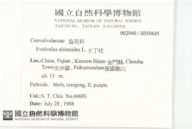 土丁桂藏品圖，第2張