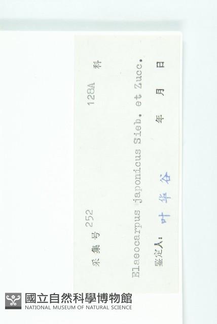 薯豆藏品圖，第3張