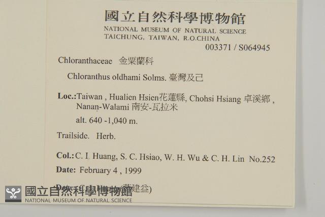 臺灣及己藏品圖，第2張