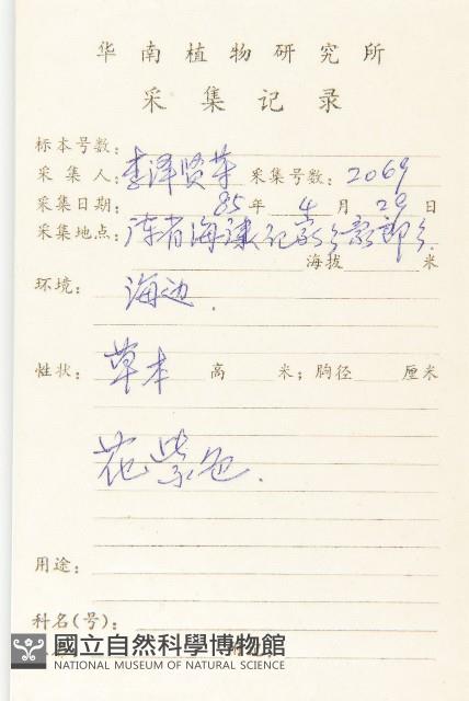 長葉茅膏菜藏品圖，第2張