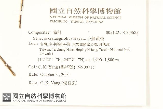 小蔓黃苑藏品圖，第2張