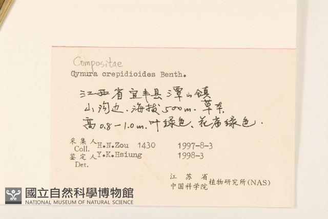 野茼蒿藏品圖，第3張