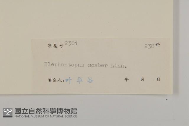 燈豎朽藏品圖，第3張