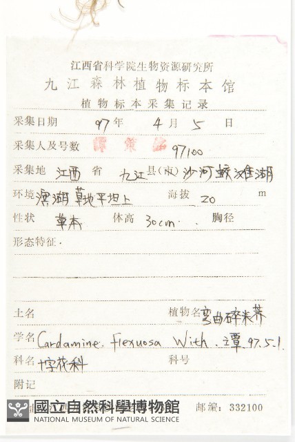 焊菜藏品圖，第2張