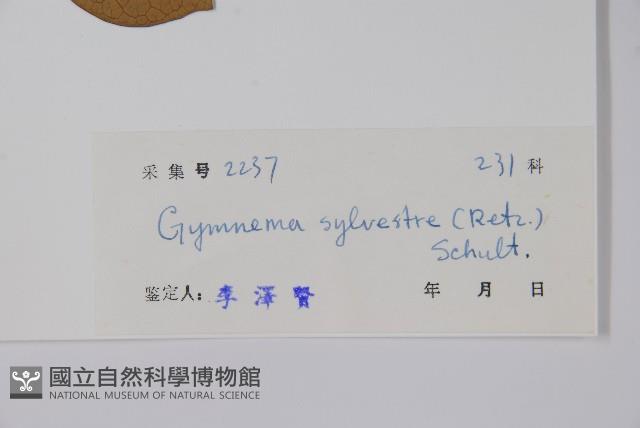 武靴藤藏品圖，第2張