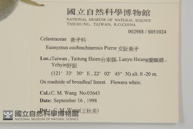 交趾衛矛藏品圖，第2張