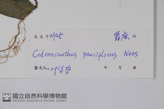 針刺草藏品圖，第2張