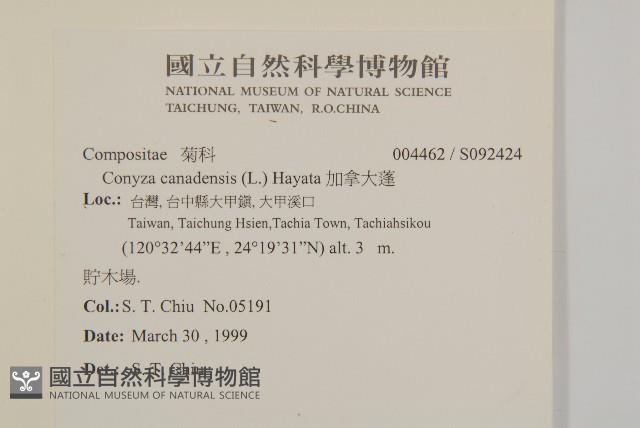 加拿大蓬藏品圖，第2張