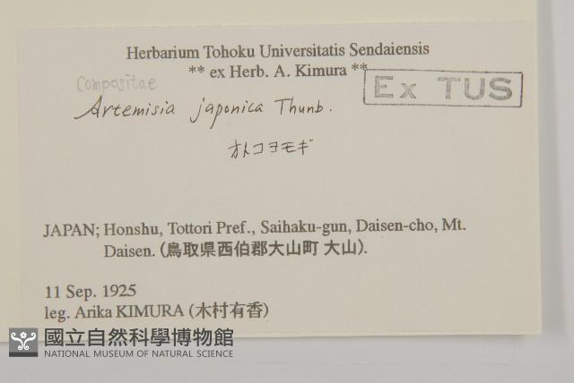 牡蒿藏品圖，第2張