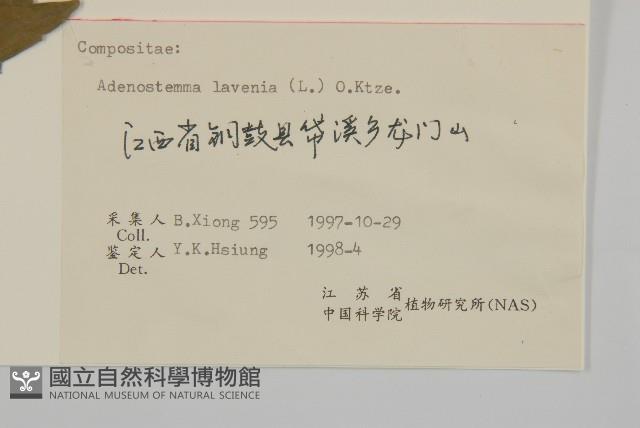 下田菊藏品圖，第3張