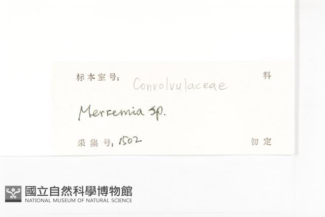 登錄號:S129004藏品圖，第3張