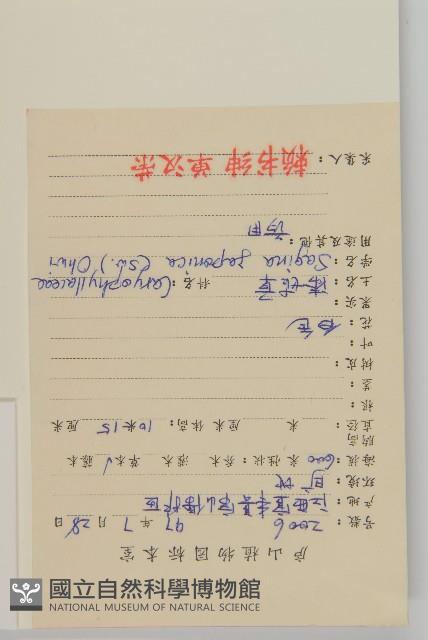 瓜槌草、漆姑草藏品圖，第2張