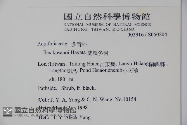 草野氏冬青藏品圖，第2張