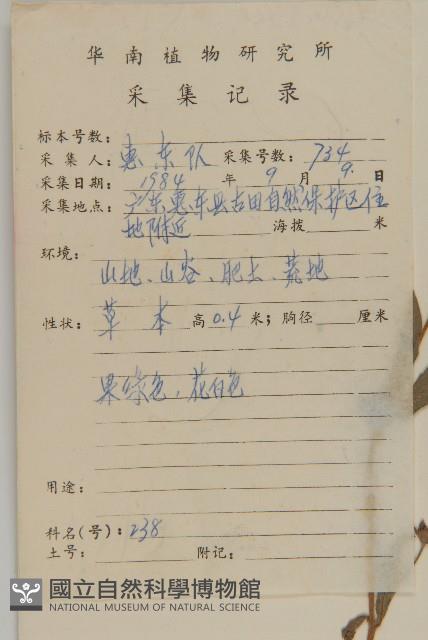 鱧腸藏品圖，第2張