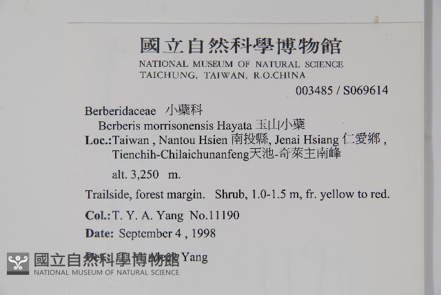 玉山小蘗藏品圖，第2張