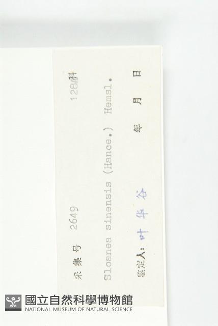 猴歡喜藏品圖，第3張