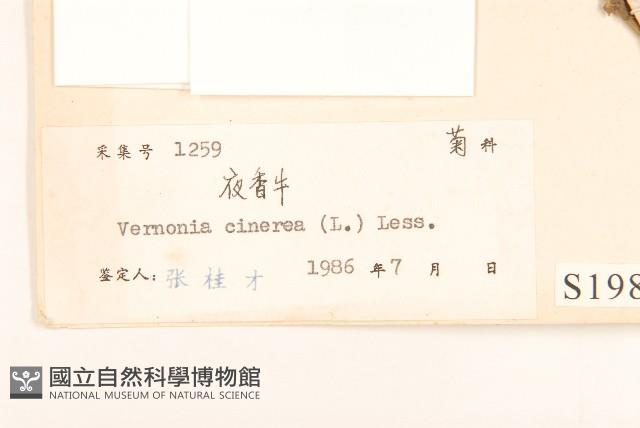 一枝香藏品圖，第3張