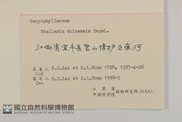 中國繁縷藏品圖，第3張