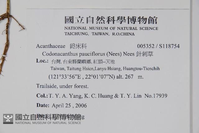 針刺草藏品圖，第2張