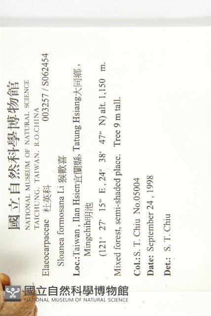 猴歡喜藏品圖，第2張